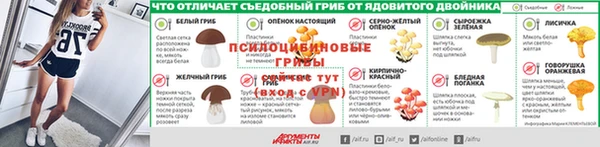 твердый Каменногорск