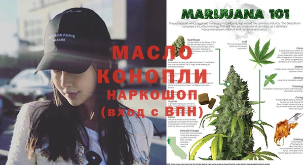марки nbome Каменка