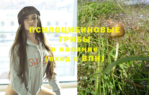 твердый Каменногорск