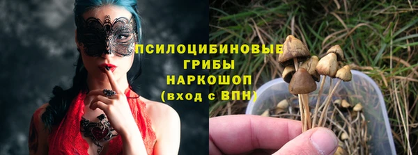 твердый Каменногорск