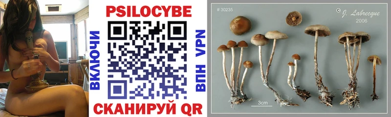 Галлюциногенные грибы мухоморы  Купить закладки  Белогорск 